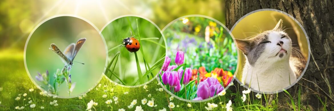 Duftwelt Frühling