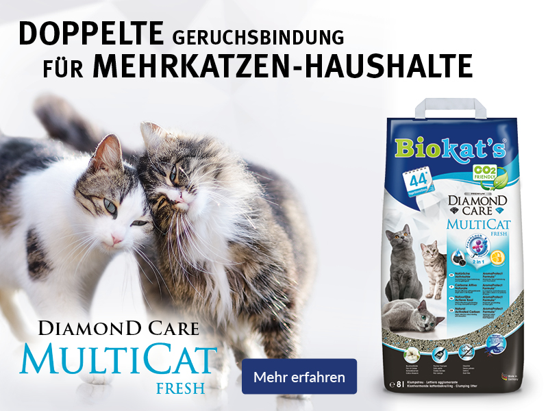 Diamond Care MultiCat