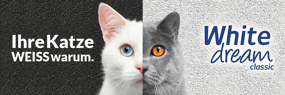 White dream classic - Ihre Katze WEISS warum.