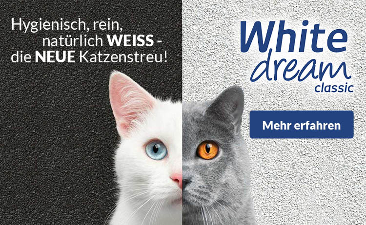 White dream classic - Ihre Katze WEISS warum.