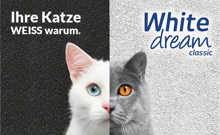 White dream classic - Ihre Katze WEISS warum.